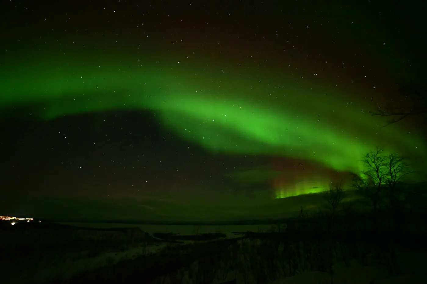 Arco brillante de aurora verde sobre un lago oscuro y siluetas de abedules, con luces tenues en la orilla opuesta