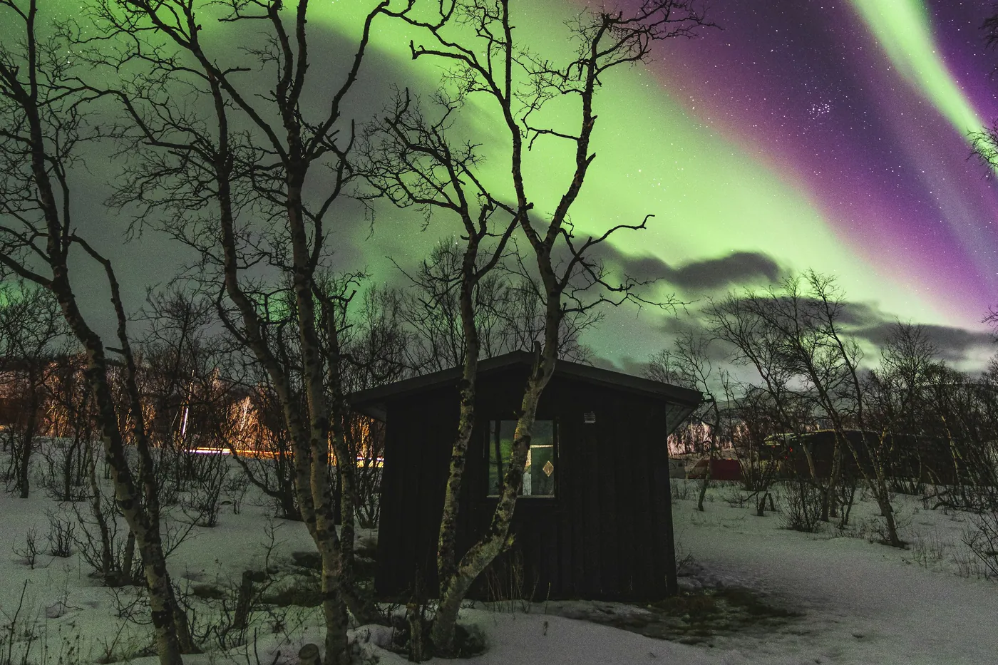 Bandas de aurora verdes y violetas sobre abedules desnudos y una pequeña cabaña de madera oscura en la nieve