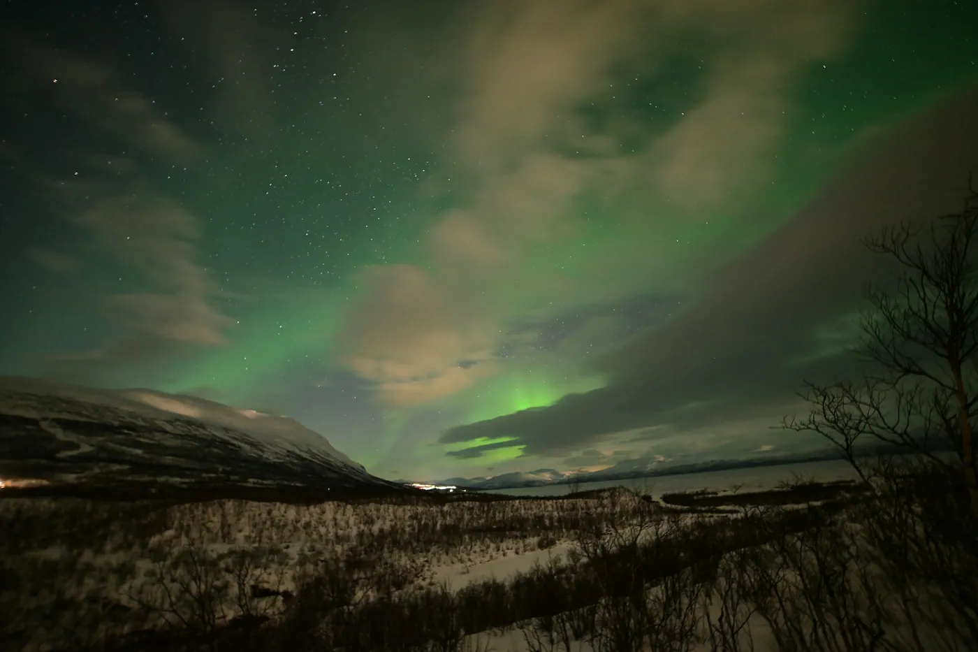 Aurora verde y nubes a la deriva sobre una montaña nevada y un amplio valle con un lago, con ramas desnudas de abedul en primer plano