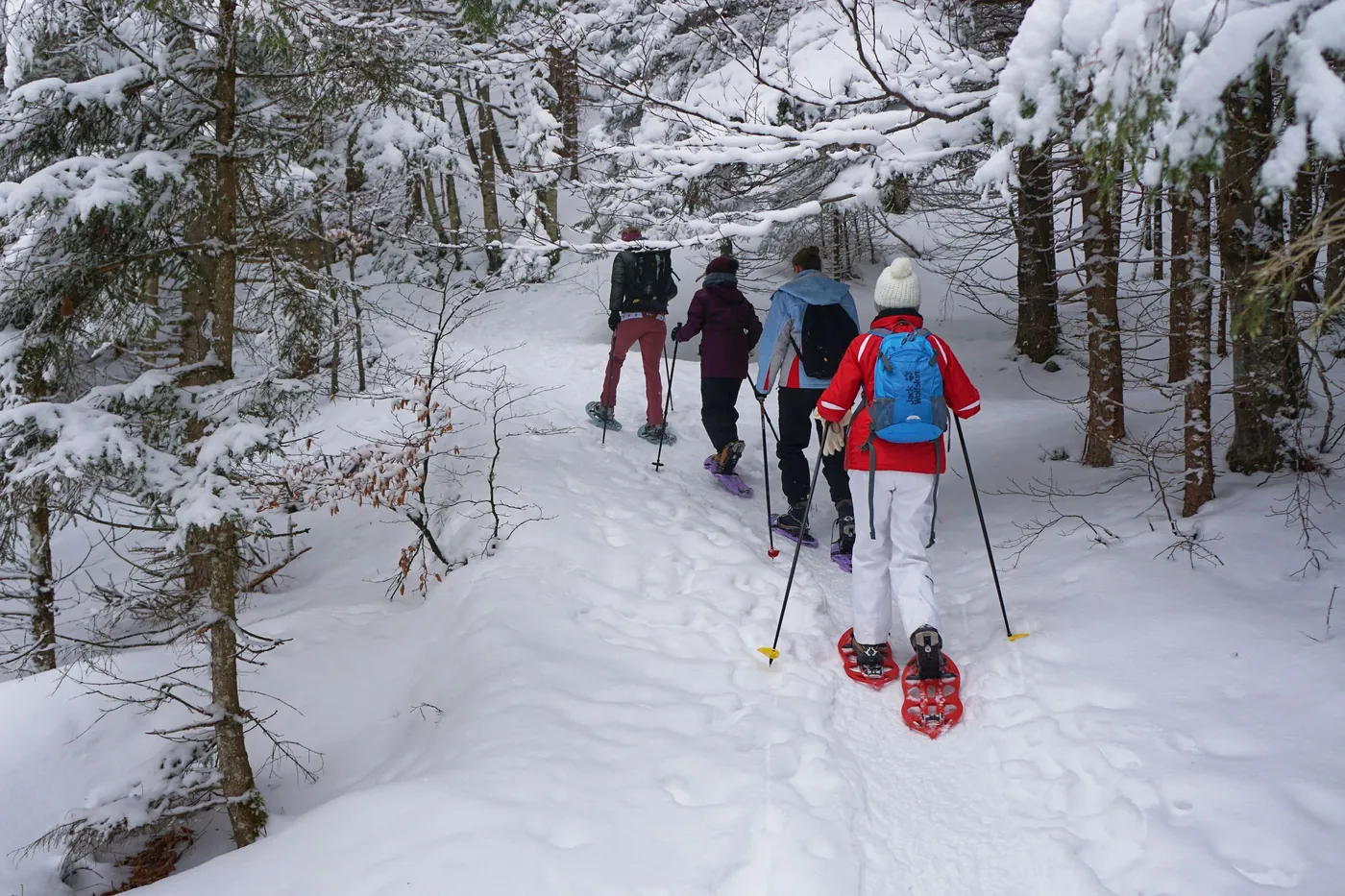 Pequeño grupo de excursionistas con raquetas de nieve y bastones caminando por un sendero nevado del bosque