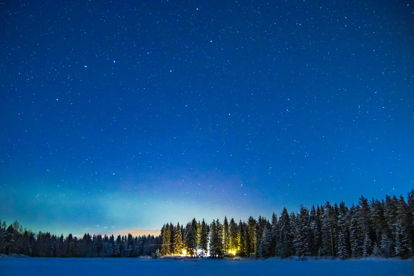 Cielo estrellado de un azul profundo sobre un campo nevado y el borde de un bosque, con un tenue resplandor en el horizonte y luces cálidas entre los árboles